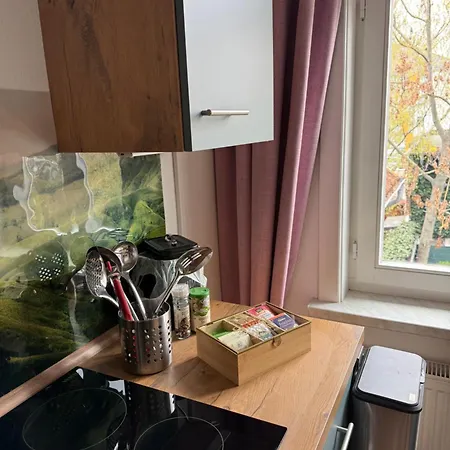 شقة Haus Harzzauber - Historisches Altstadt Mit Kamin Und Komfortabler E-bike-nutzung *